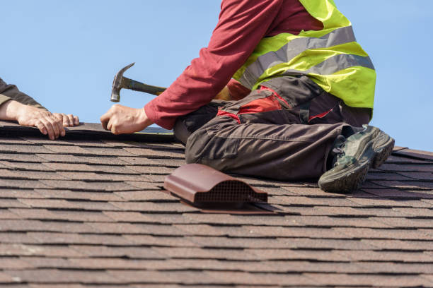 Best Roof Maintenance Services  in Bellevue, MI
