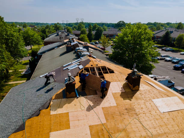 Best Roof Restoration Services  in Bellevue, MI