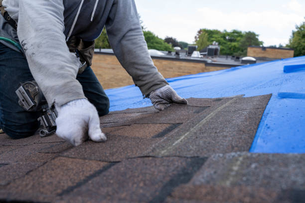 Quick and Trustworthy Emergency Roof Repair Services in Bellevue, MI