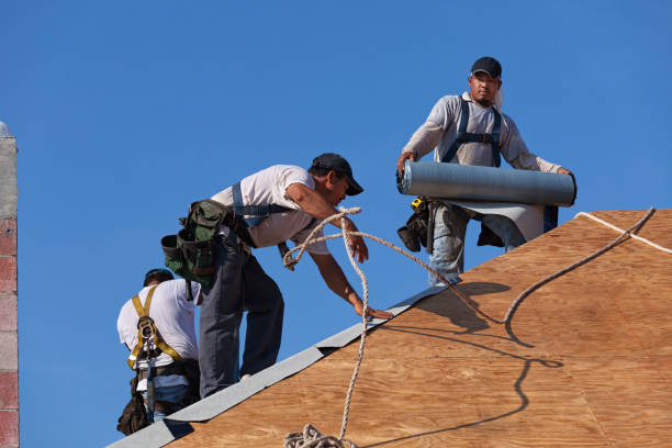Best Local Roofing Companies  in Bellevue, MI