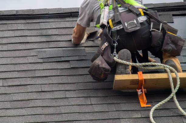 Best Roof Gutter Cleaning  in Bellevue, MI
