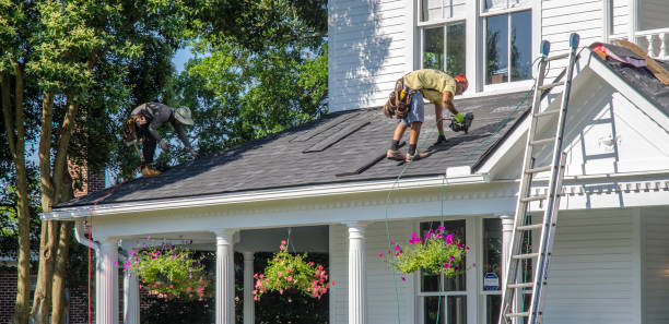 Best Flat Roof Repair Services  in Bellevue, MI